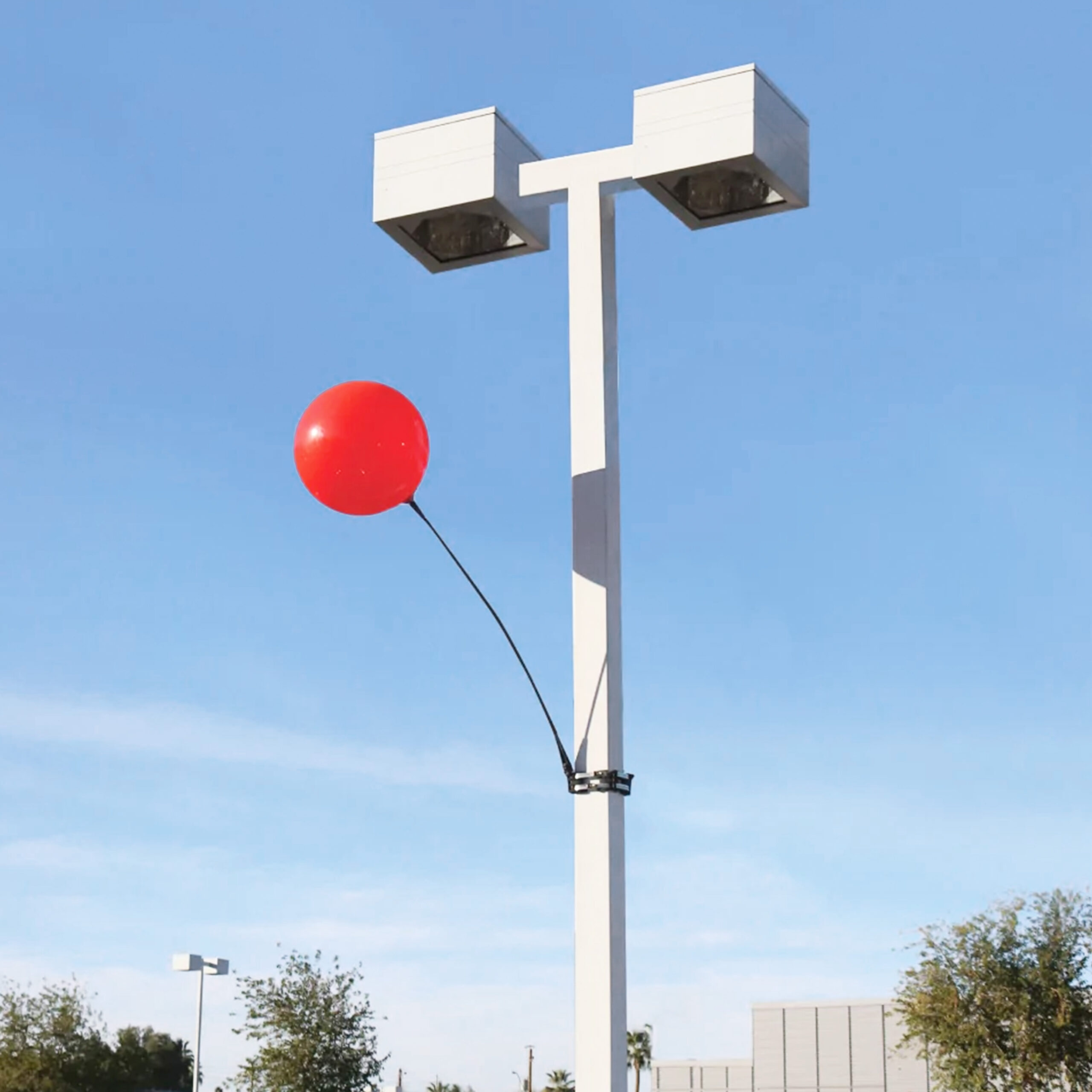 DuraBalloon® Light Pole Kit
