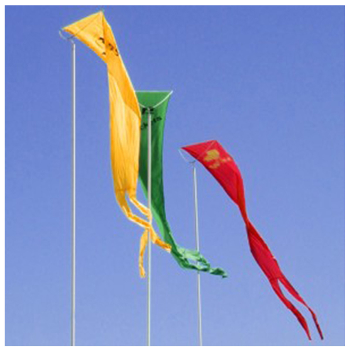 Dori Pole® Pennant Systems - Image 6