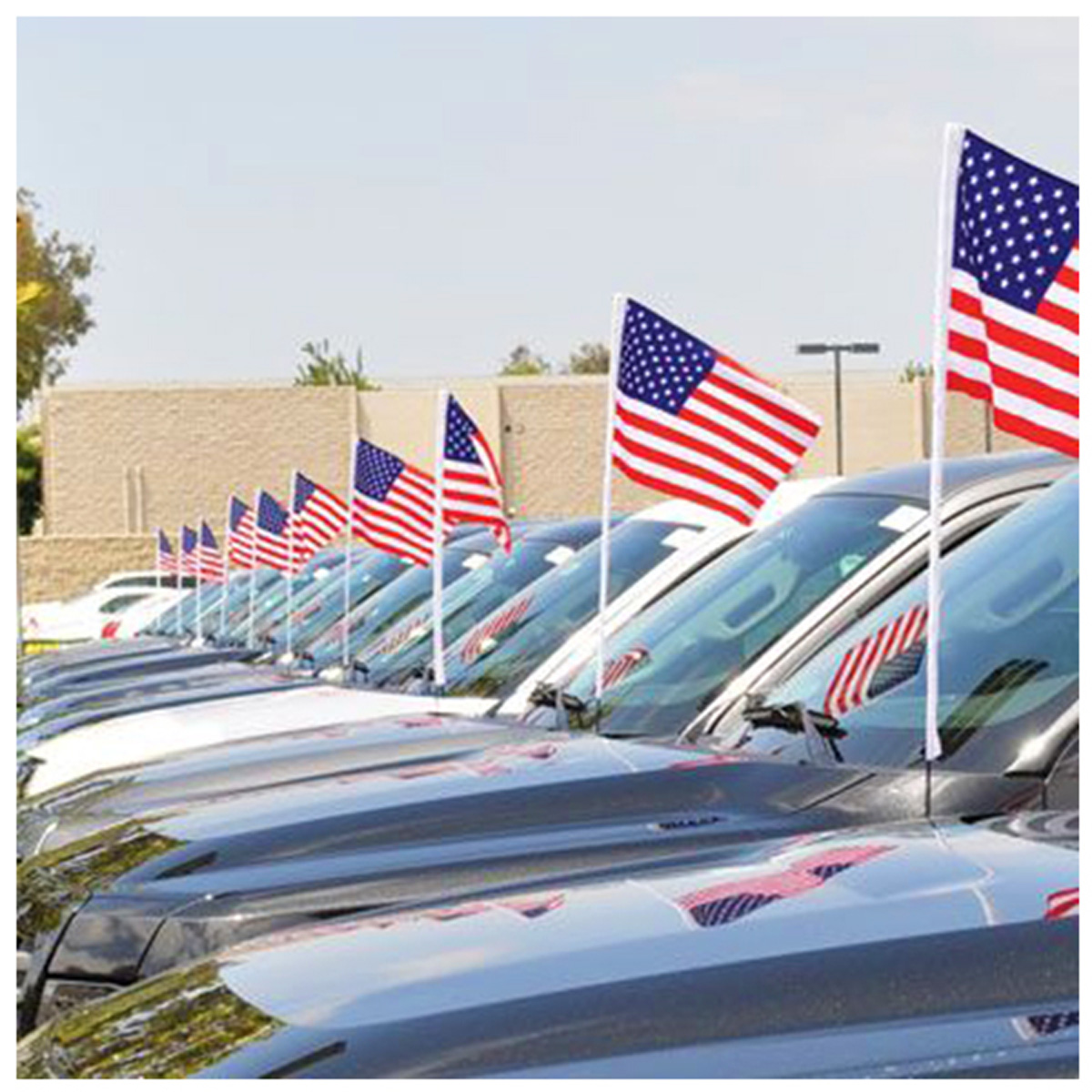 Antenna American Flag - Image 4