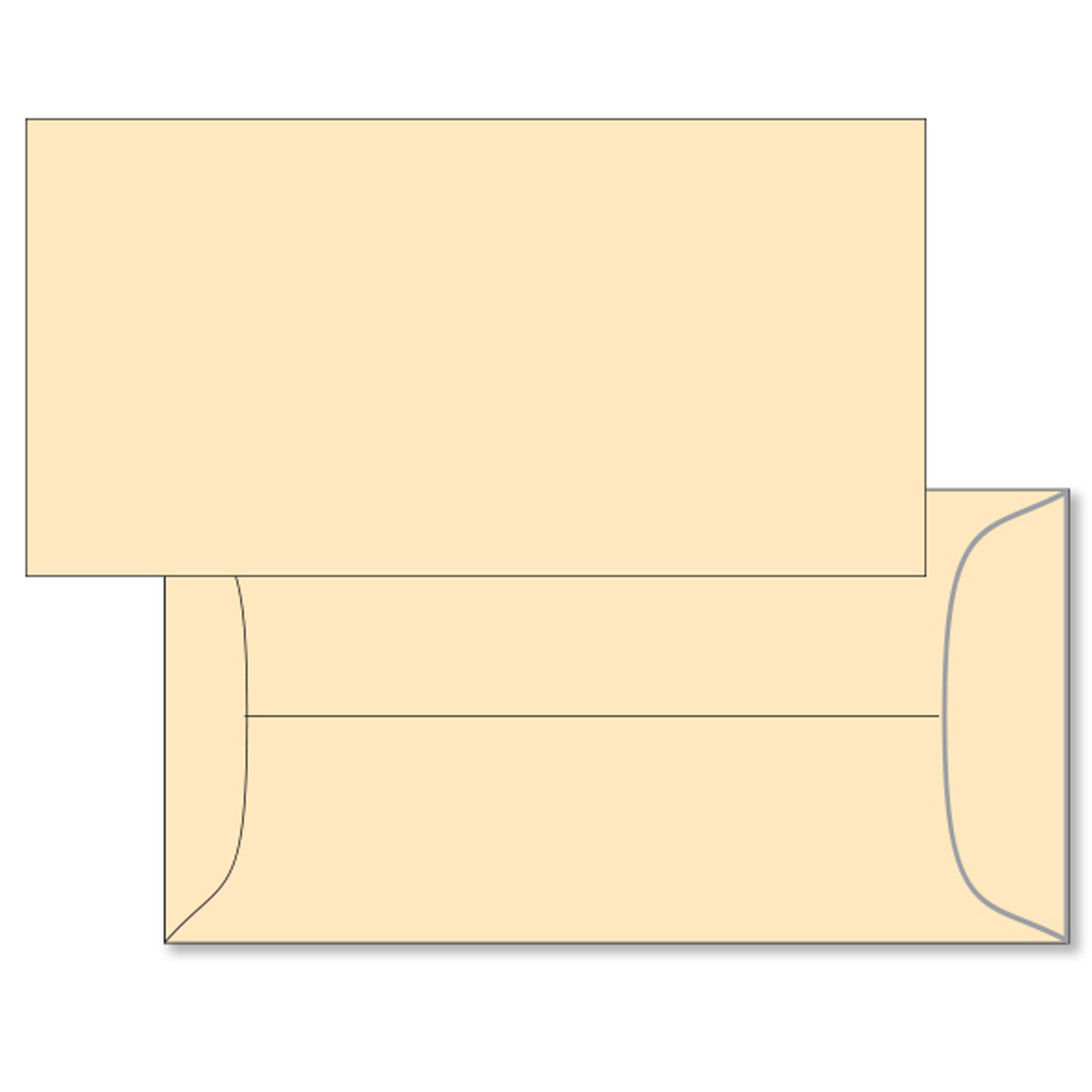 License Plate Mailing Envelopes - Image 2