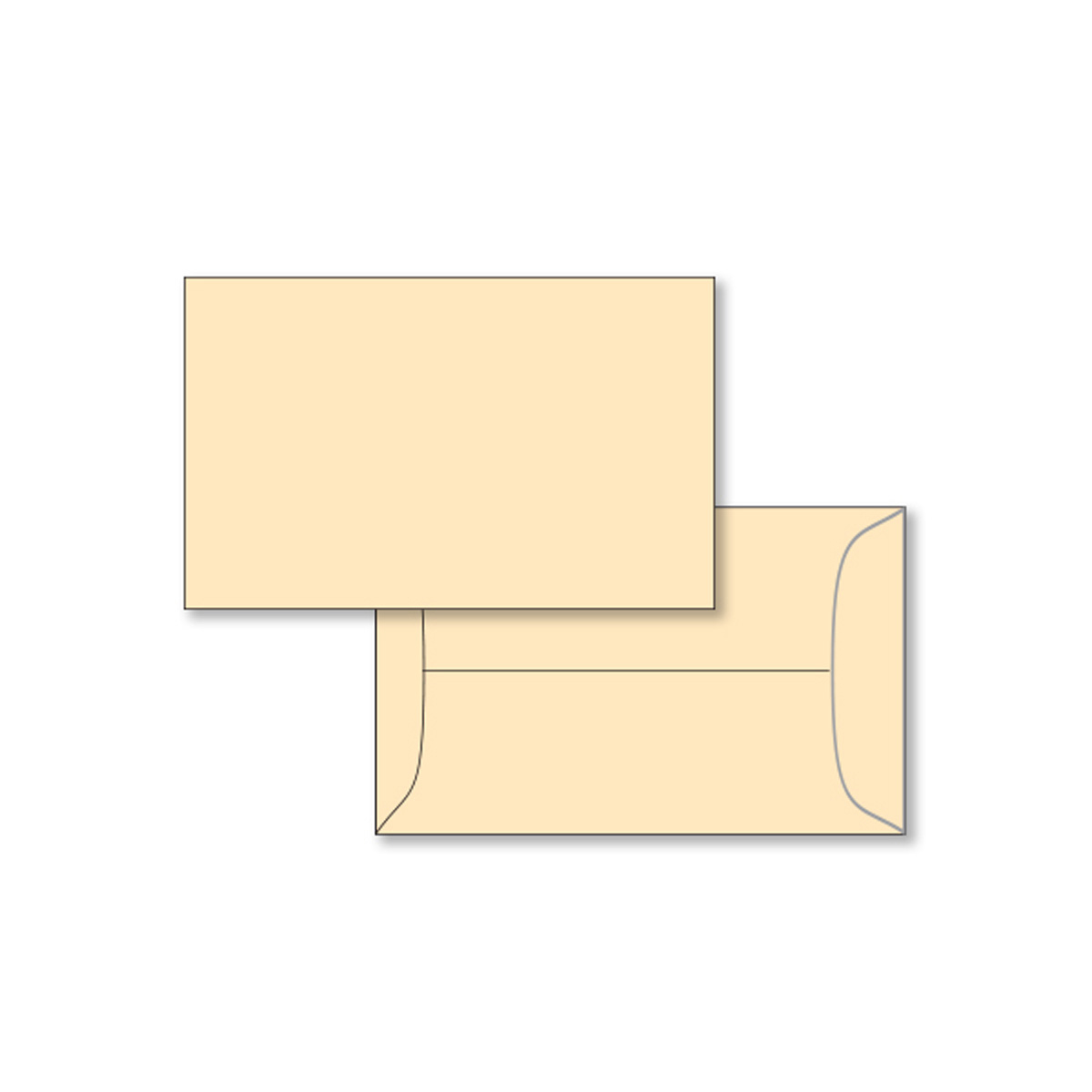 License Plate Mailing Envelopes - Image 3