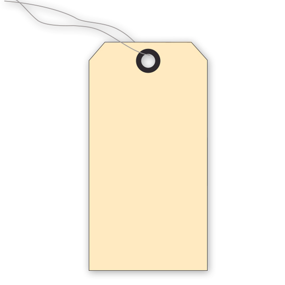 Blank Stock Tags - Image 4