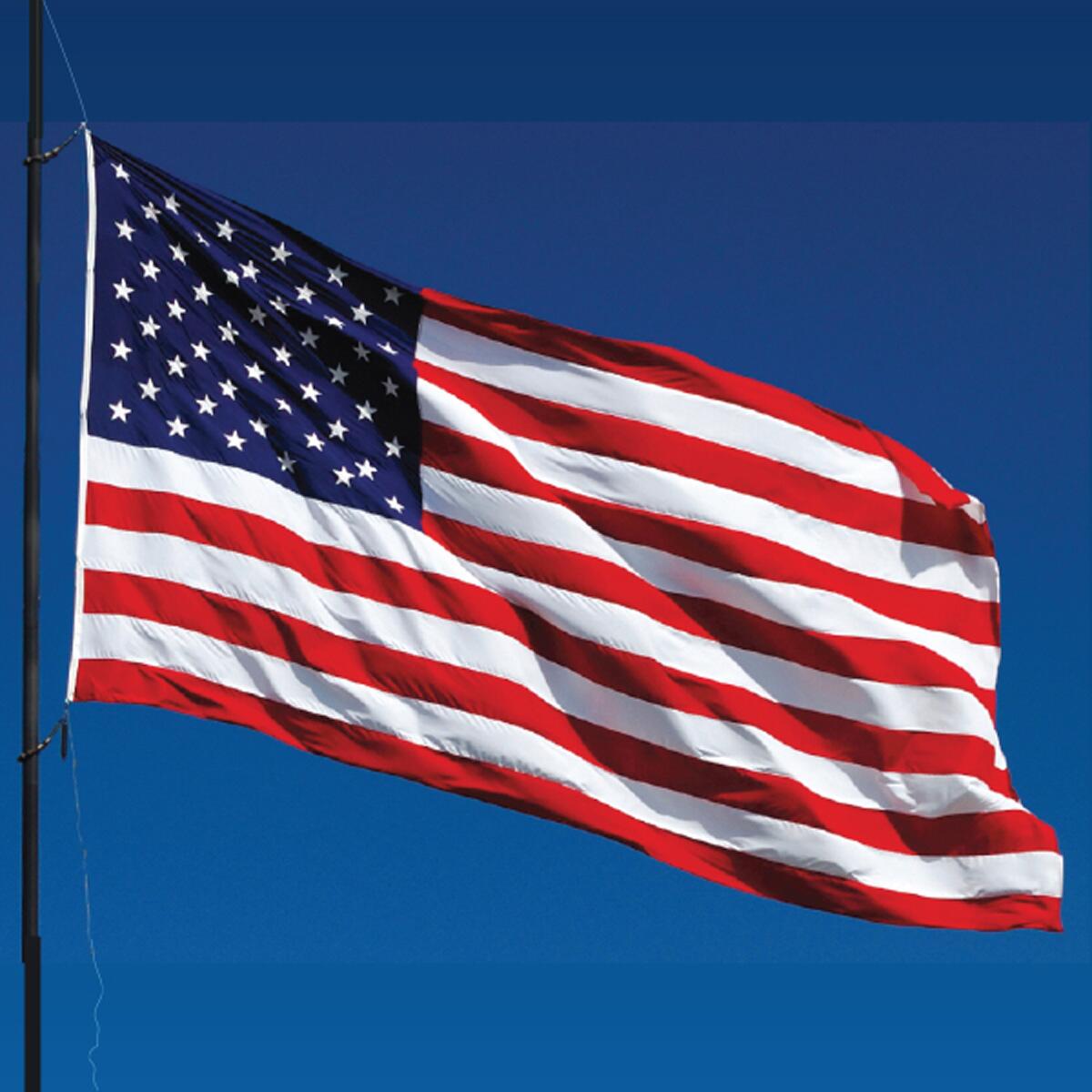 American Flags - Image 2
