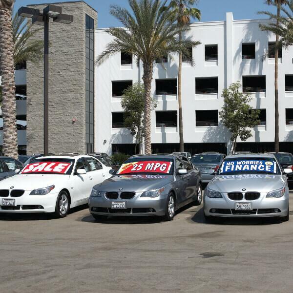 Bucko Banners - Image 2